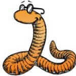 Tijger worm zonnig