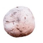Bokashi EM Vijverballen-0 - afbeelding 2 - afbeelding 2