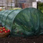 Easy Giant Net Kweektunnel - afbeelding 1