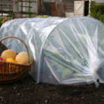 Easy Giant Poly Kweektunnel - afbeelding 1