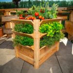 Verhoogde moestuinbak Westmann XL - afbeelding 1