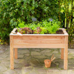 Verhoogde moestuinbak - afbeelding 1