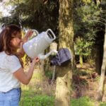 Drink- of voederbak vogels - afbeelding 1