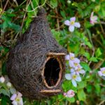 Vogelnest voor kleine en middelgrote vogels - afbeelding 1