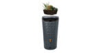 Jolie 2-in-1 Regenton – 230L | Modern Design met Geïntegreerde Plantenbak - afbeelding 6